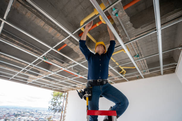 Best Residential Plumbing Services  in Ligh, NE